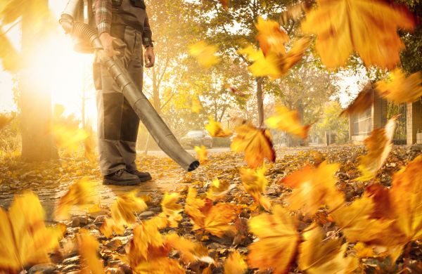 Cost of Leaf Blowing Service in Vienna