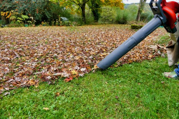 Cost of Leaf Vacuuming Service in Vienna