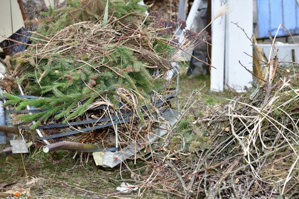 Yard Waste Removal Service in Vienna