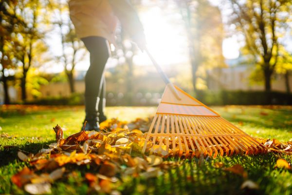 Cost of Leaves Raking in Vienna