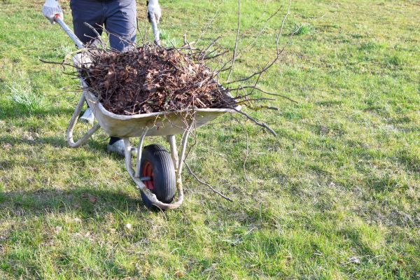 Yard Brush Removal in Vienna