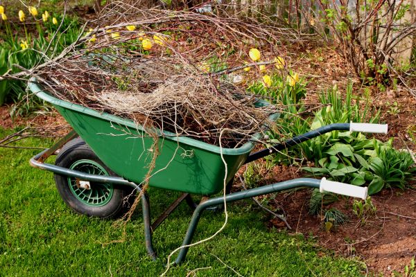 Lawn Waste Removal in Vienna