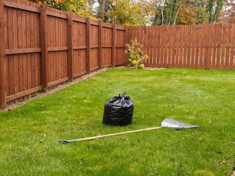 Fall Lawn Cleanup Service